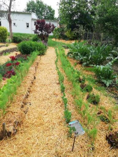 Au Coeur Du Jardin Βίλα La Boussac Εξωτερικό φωτογραφία