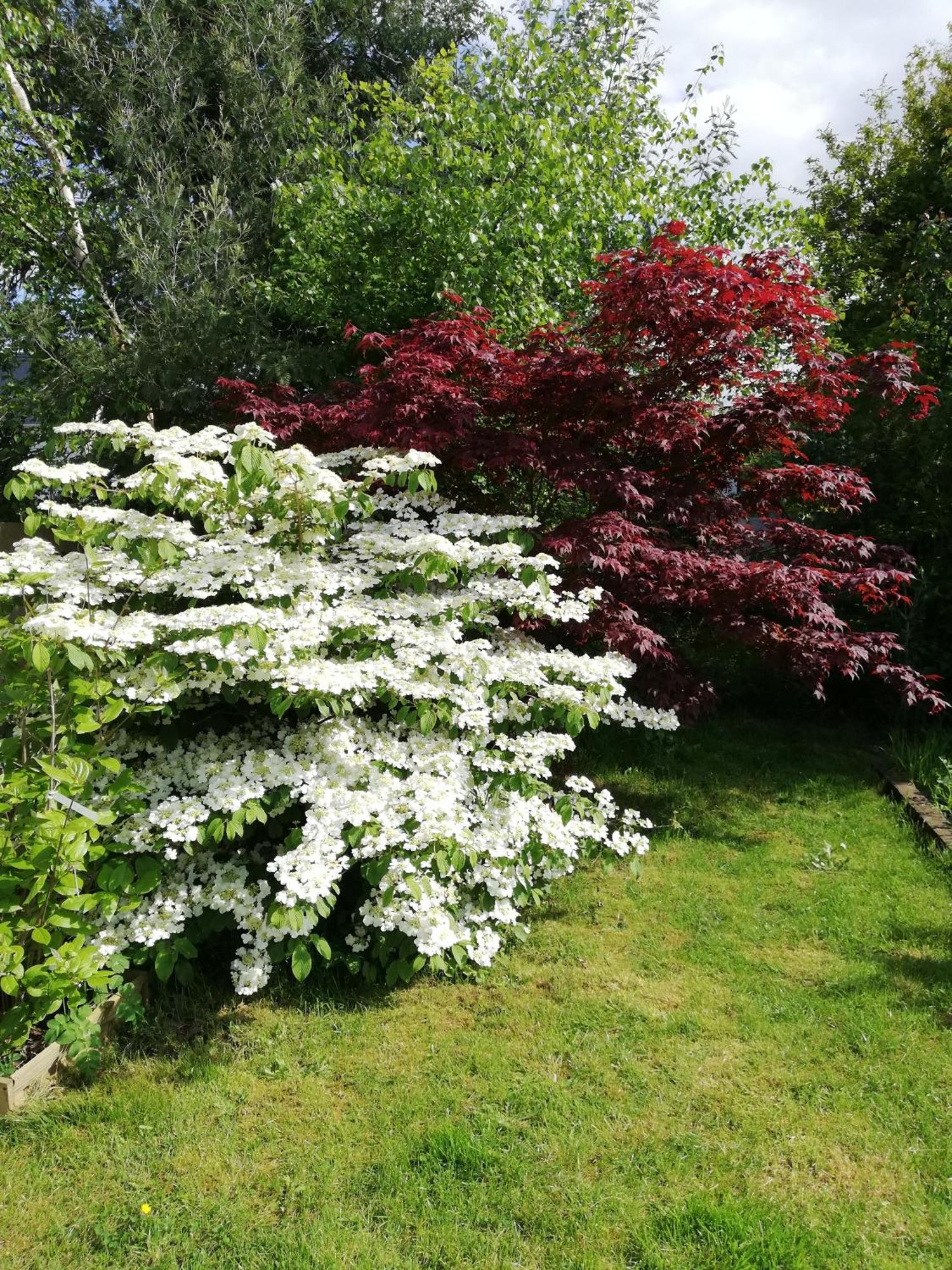 Au Coeur Du Jardin Βίλα La Boussac Εξωτερικό φωτογραφία