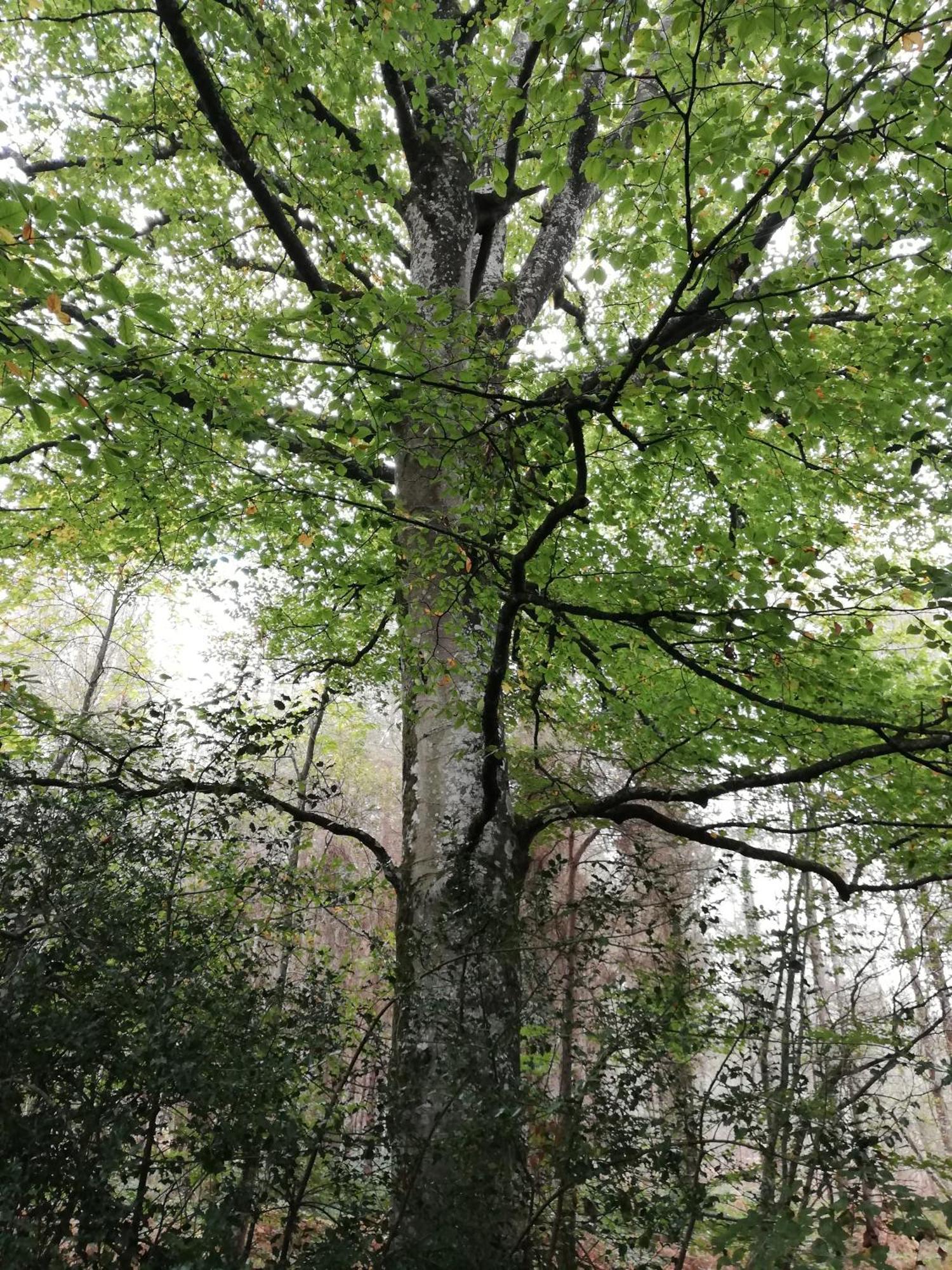 Au Coeur Du Jardin Βίλα La Boussac Εξωτερικό φωτογραφία